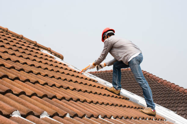 Best Roof Maintenance  in Wauseon, OH