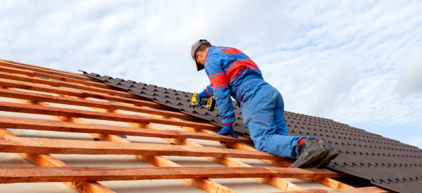 Best Roof Ventilation Installation  in Wauseon, OH